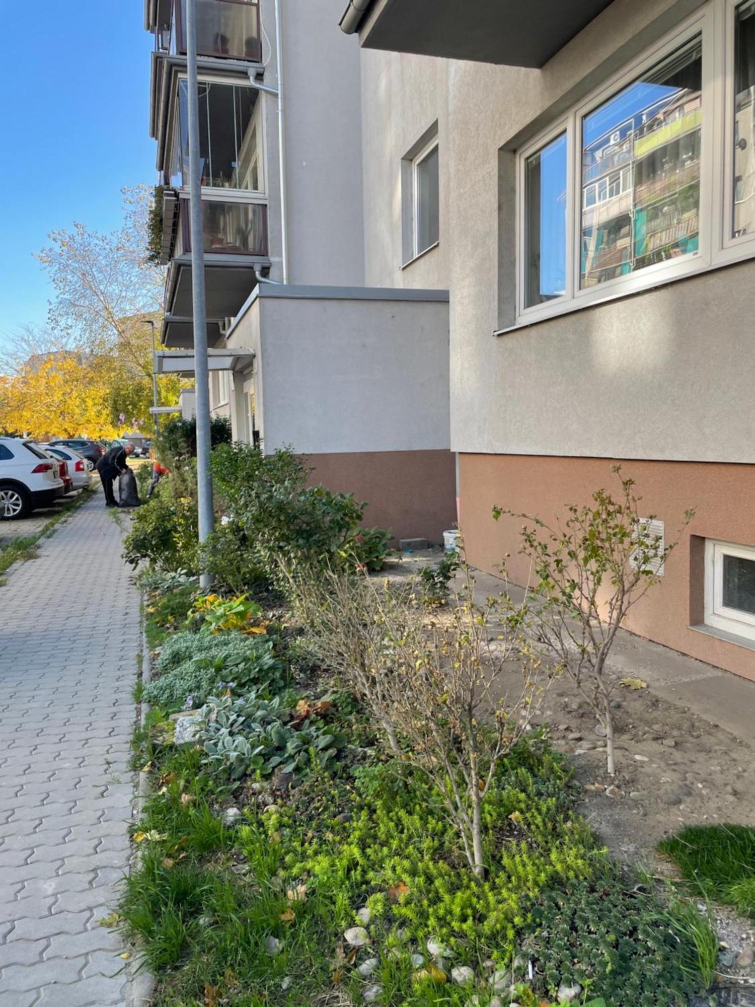 Apartman Petronela 布拉迪斯拉发 外观 照片